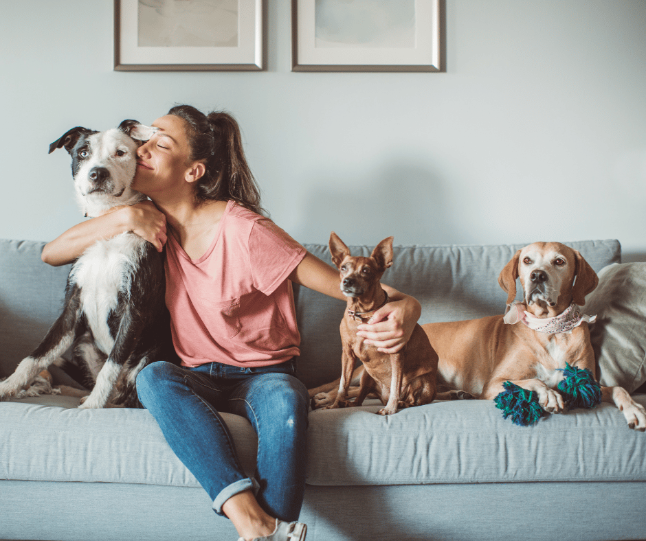 Should I get a dog? Everything you should ask before getting a dog