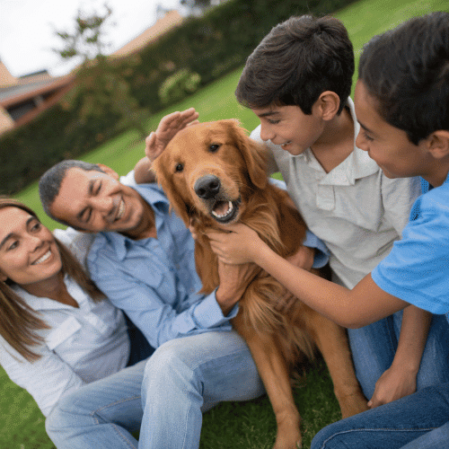 Family dog with children